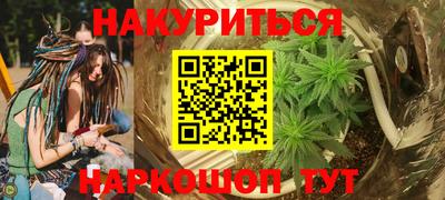 стафф Краснодар