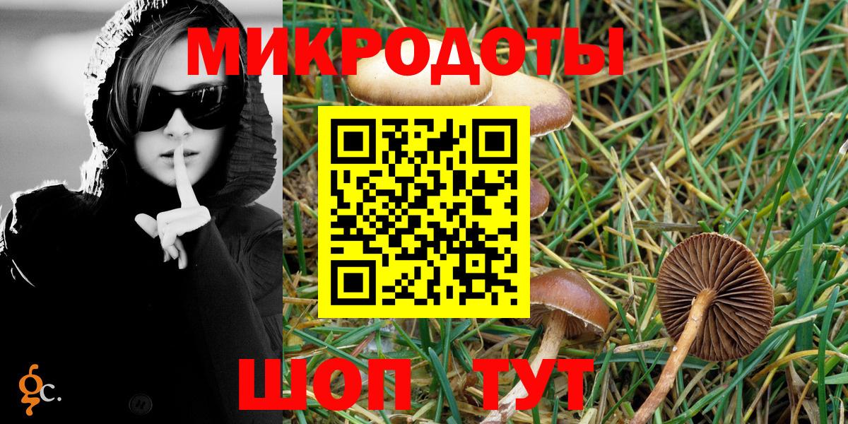 Галлюциногенные грибы мицелий  Вход с VPN  Котовск  Галлюциногенные грибы Psilocybine cubensis 